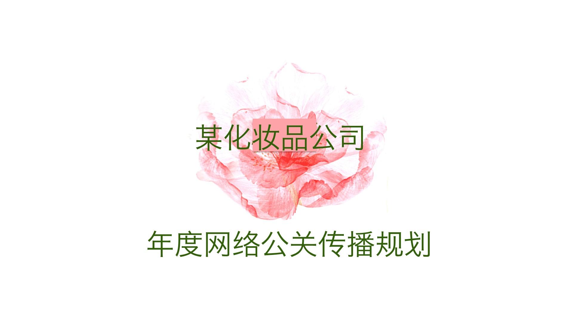 某某化妆品公司年度网络传播方案